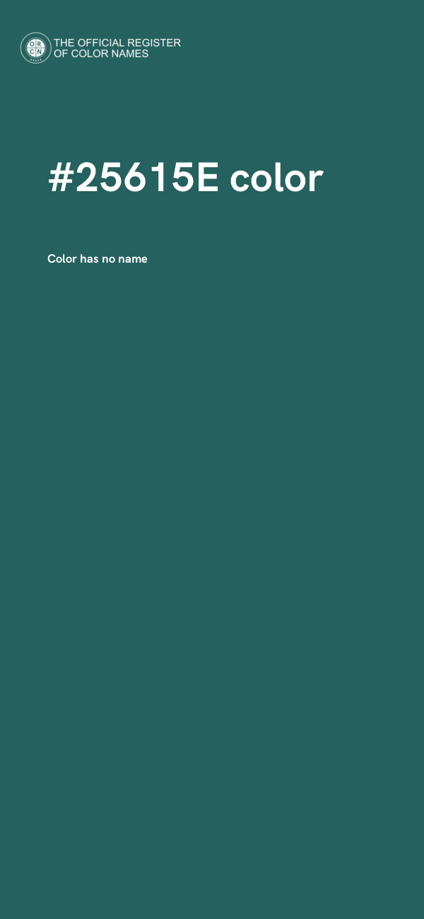 #25615E color image