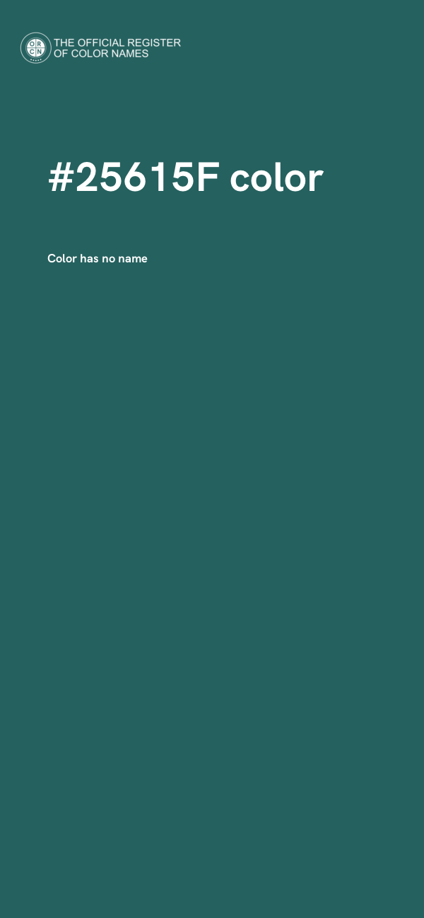 #25615F color image