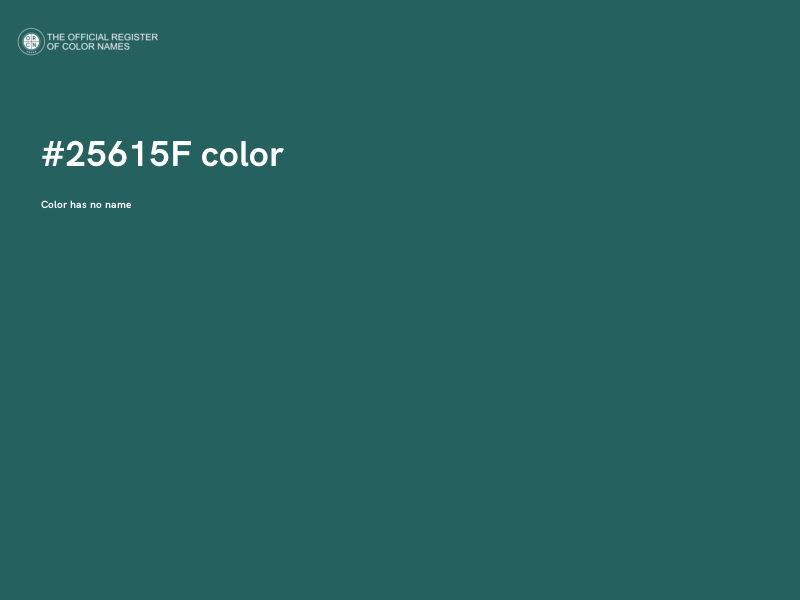 #25615F color image
