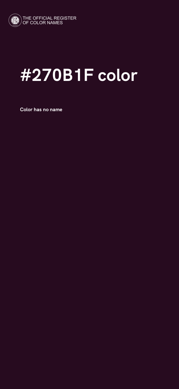 #270B1F color image