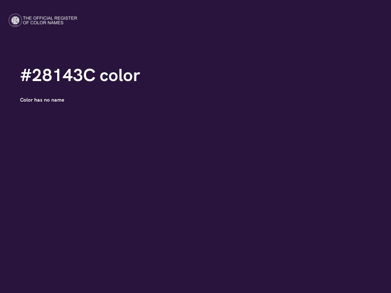 #28143C color image