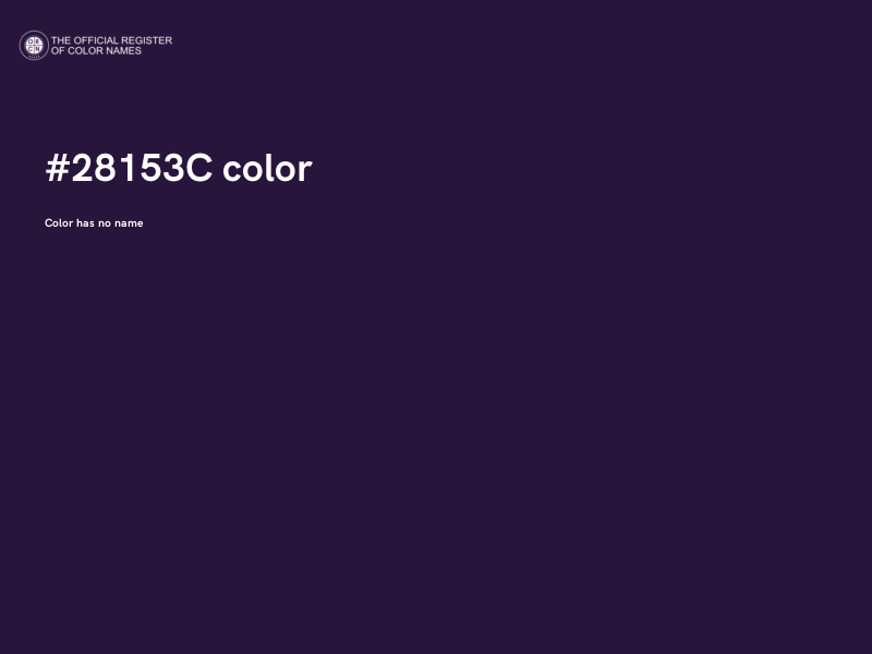 #28153C color image