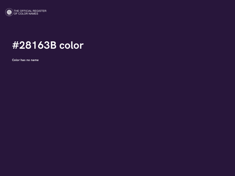 #28163B color image