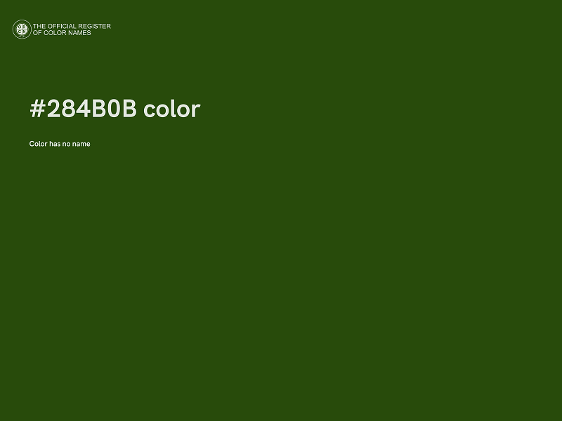 #284B0B color image