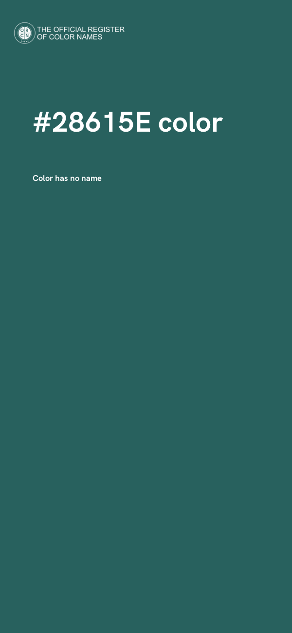 #28615E color image