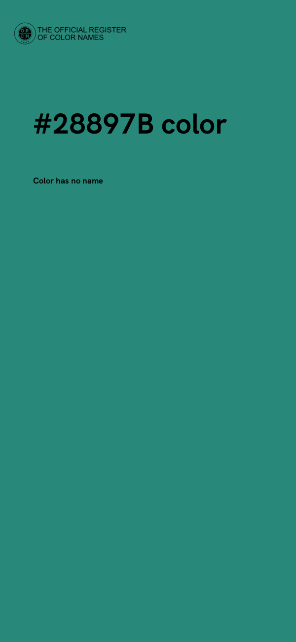#28897B color image