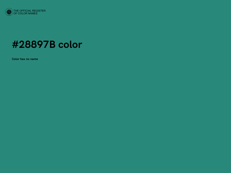 #28897B color image
