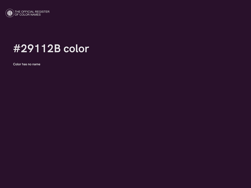#29112B color image