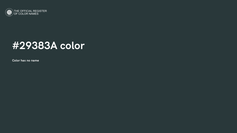#29383A color image
