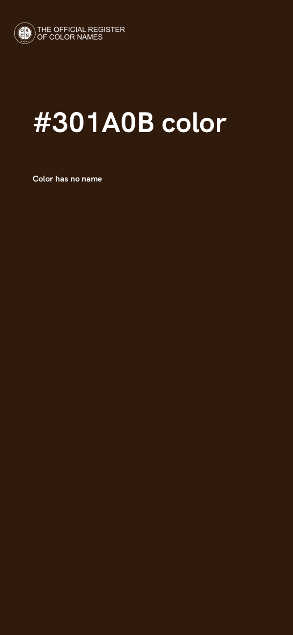 #301A0B color image