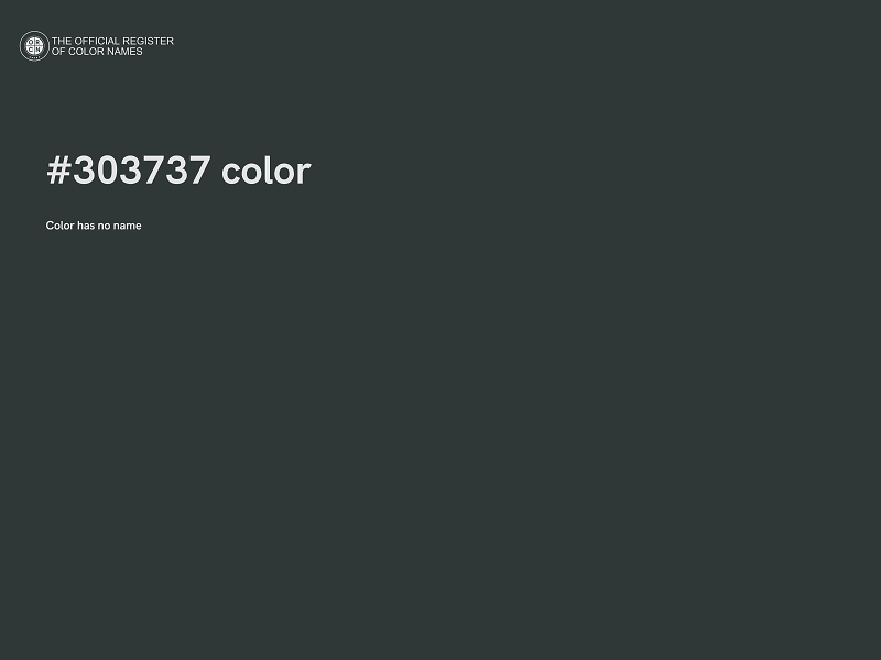 #303737 color image