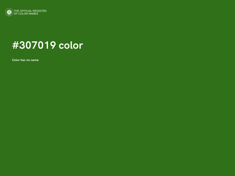 #307019 color image