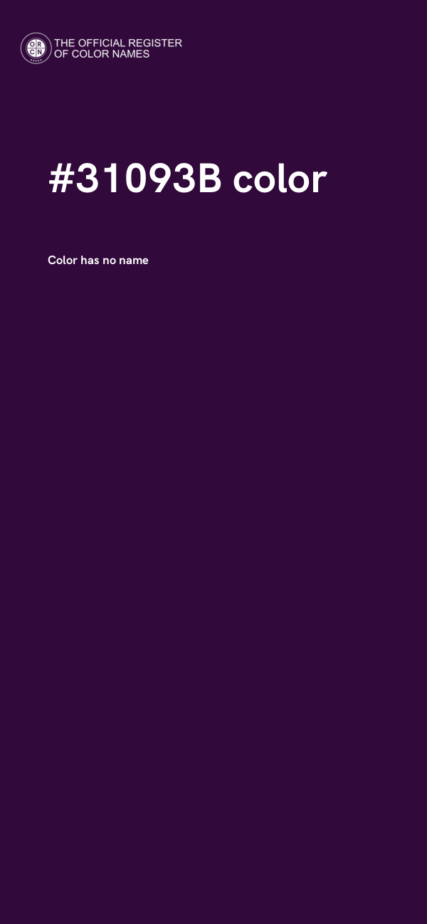 #31093B color image