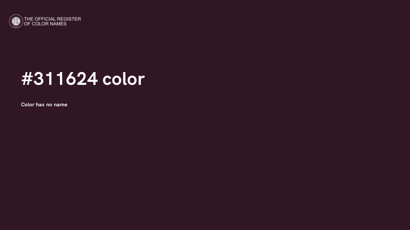 #311624 color image