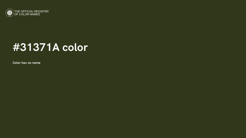 #31371A color image