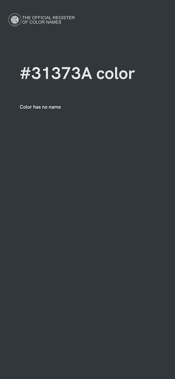 #31373A color image