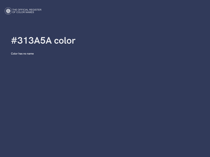 #313A5A color image