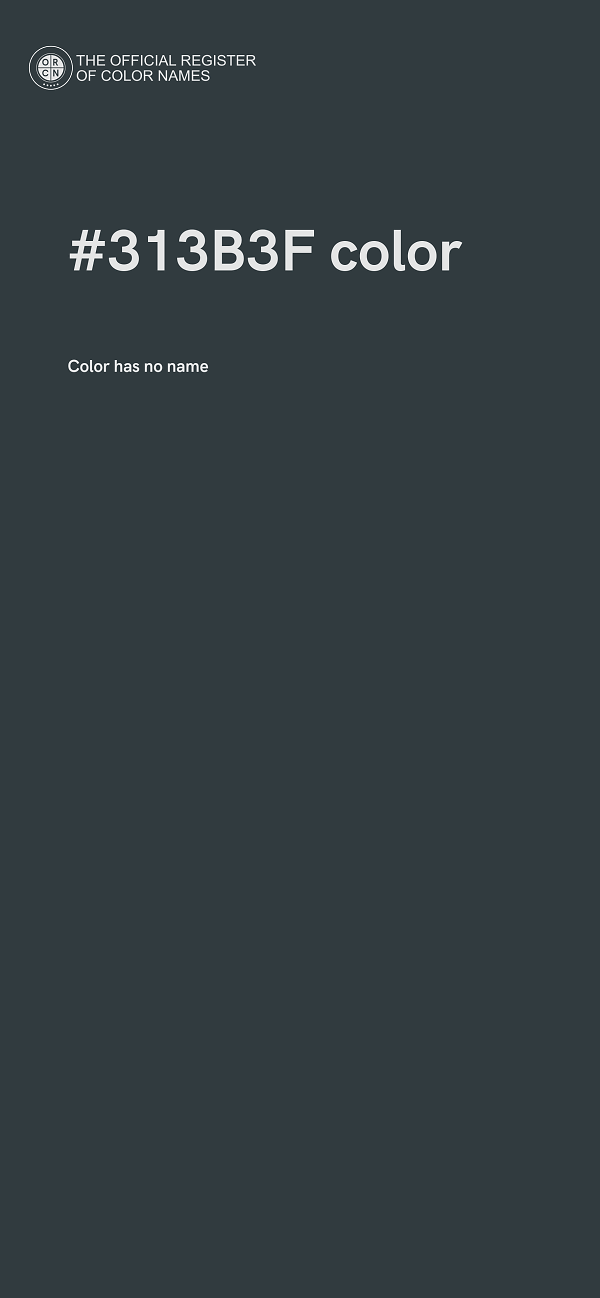 #313B3F color image