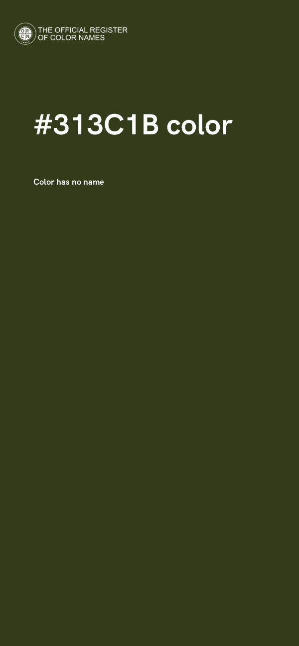#313C1B color image
