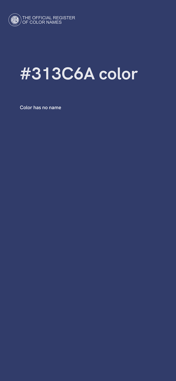 #313C6A color image