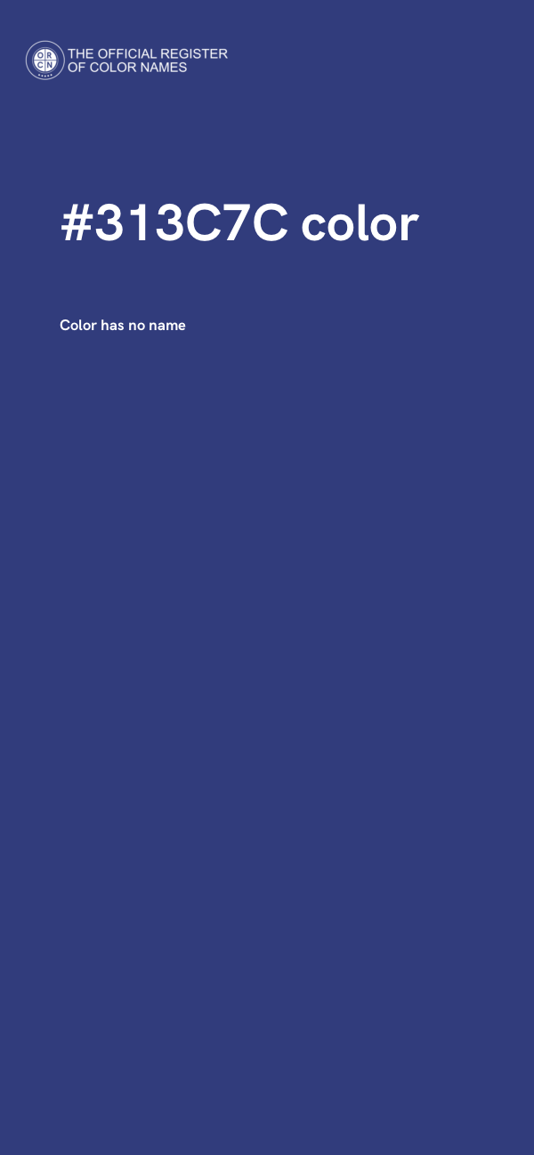 #313C7C color image