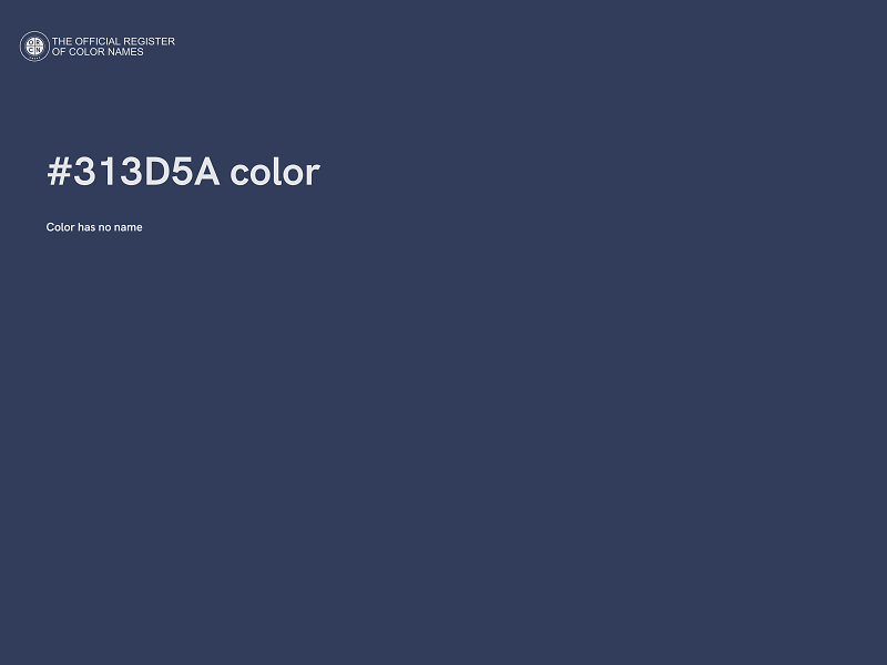 #313D5A color image