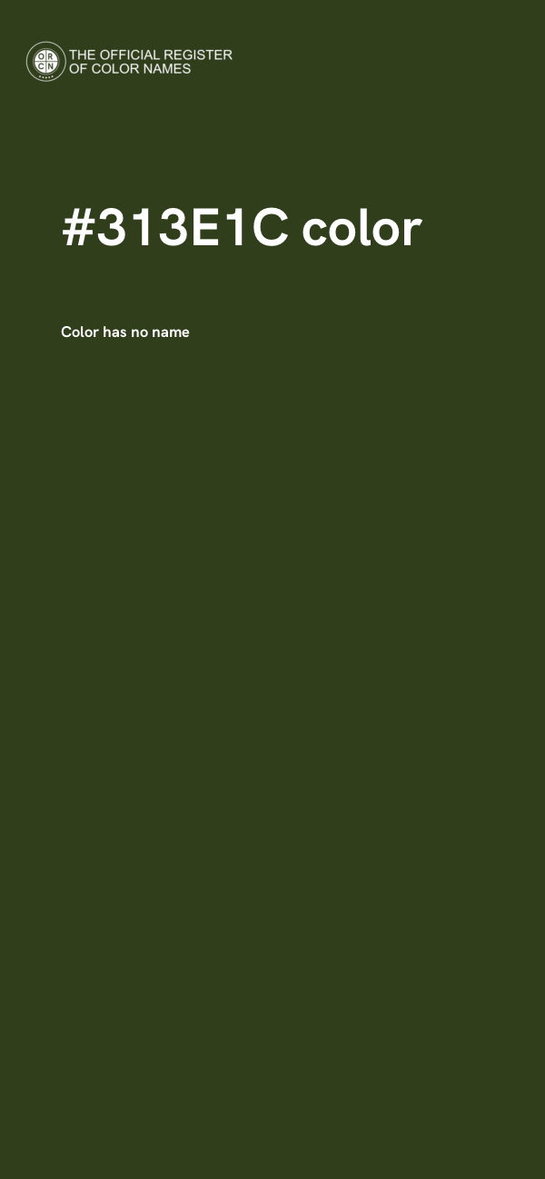 #313E1C color image