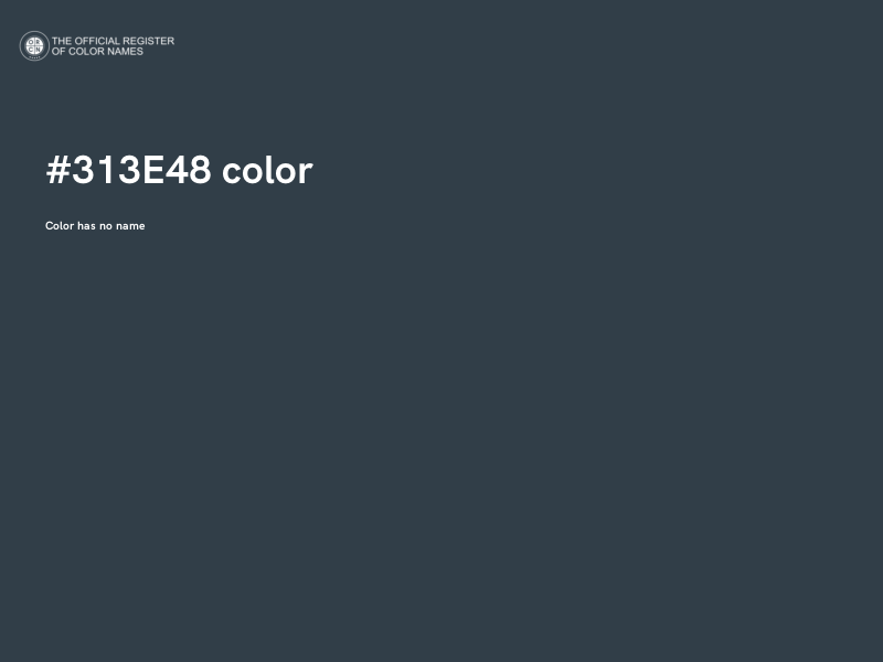 #313E48 color image