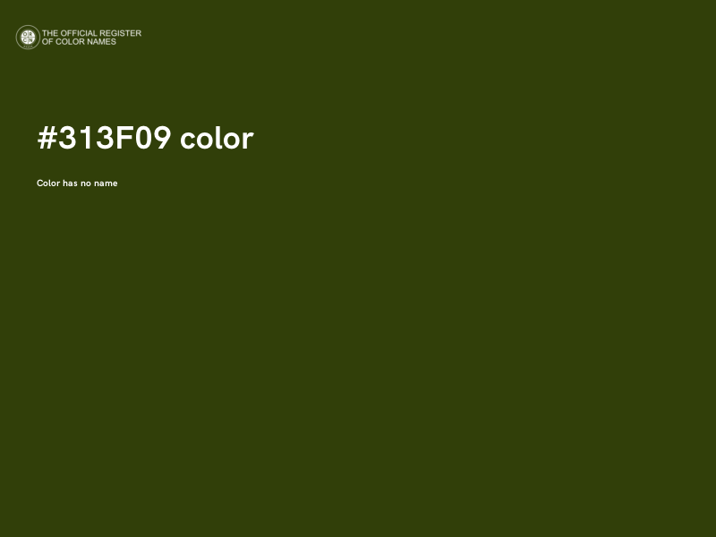 #313F09 color image