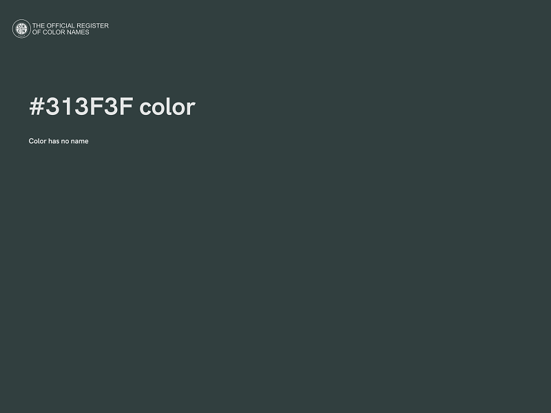 #313F3F color image