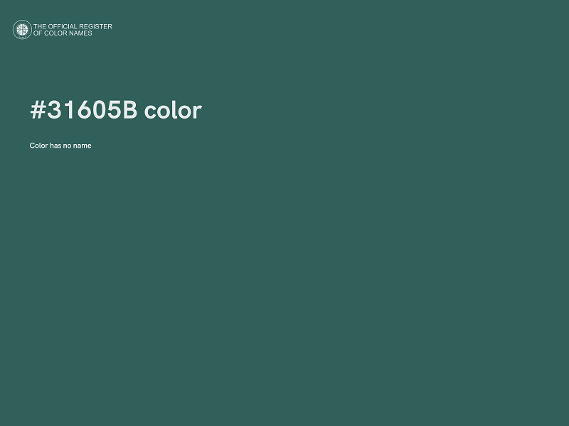 #31605B color image