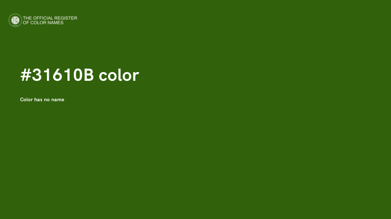 #31610B color image