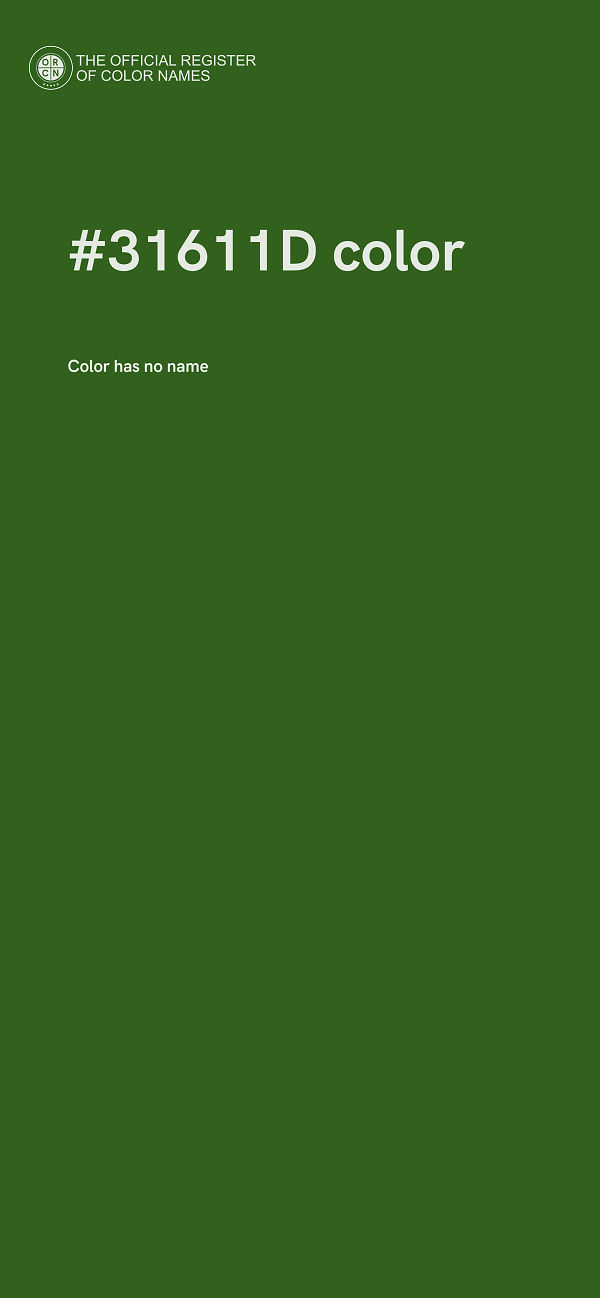 #31611D color image