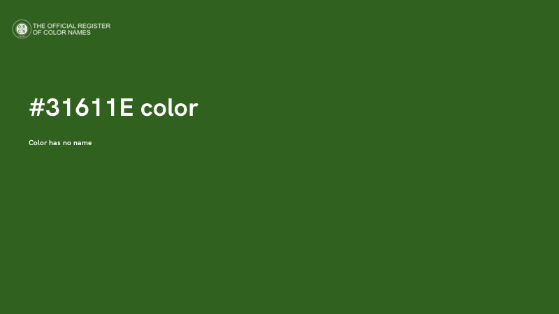#31611E color image