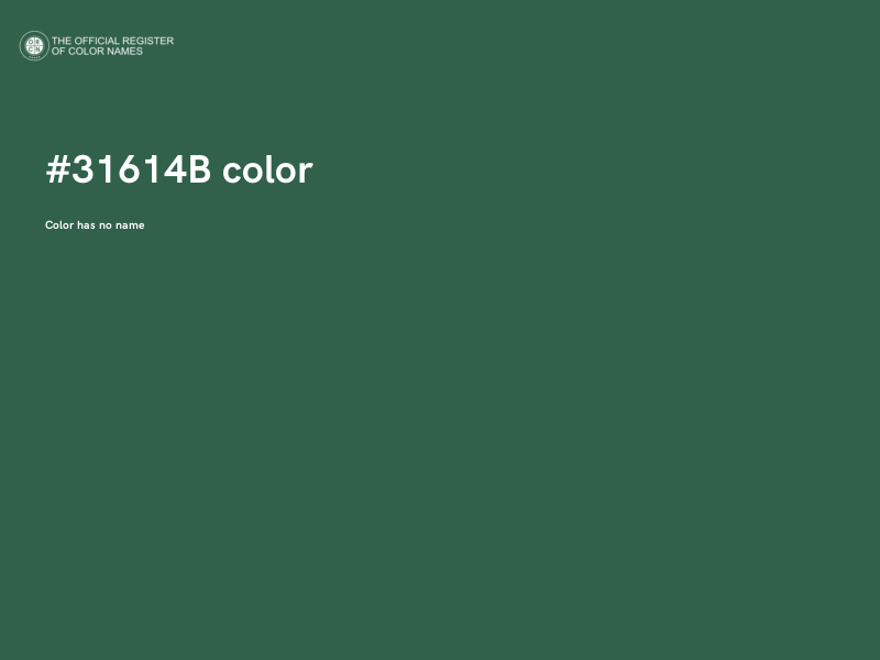 #31614B color image