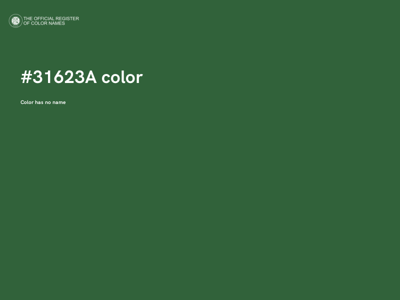 #31623A color image