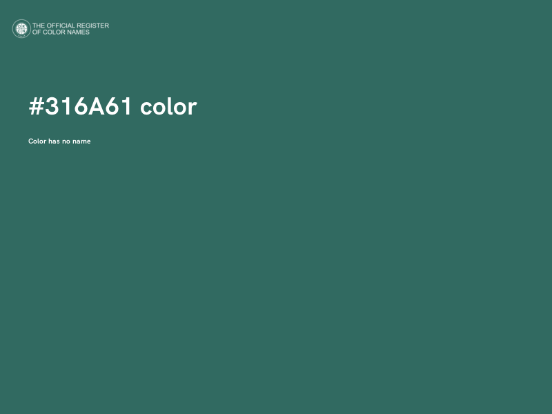 #316A61 color image