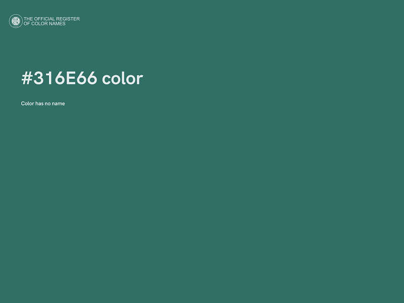 #316E66 color image