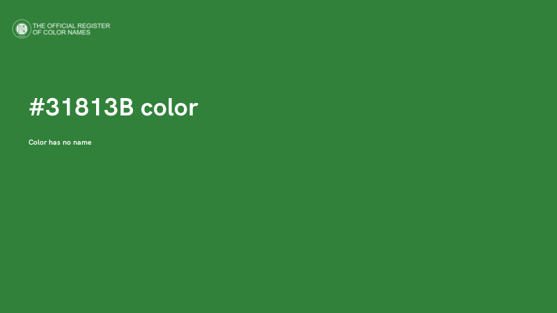 #31813B color image
