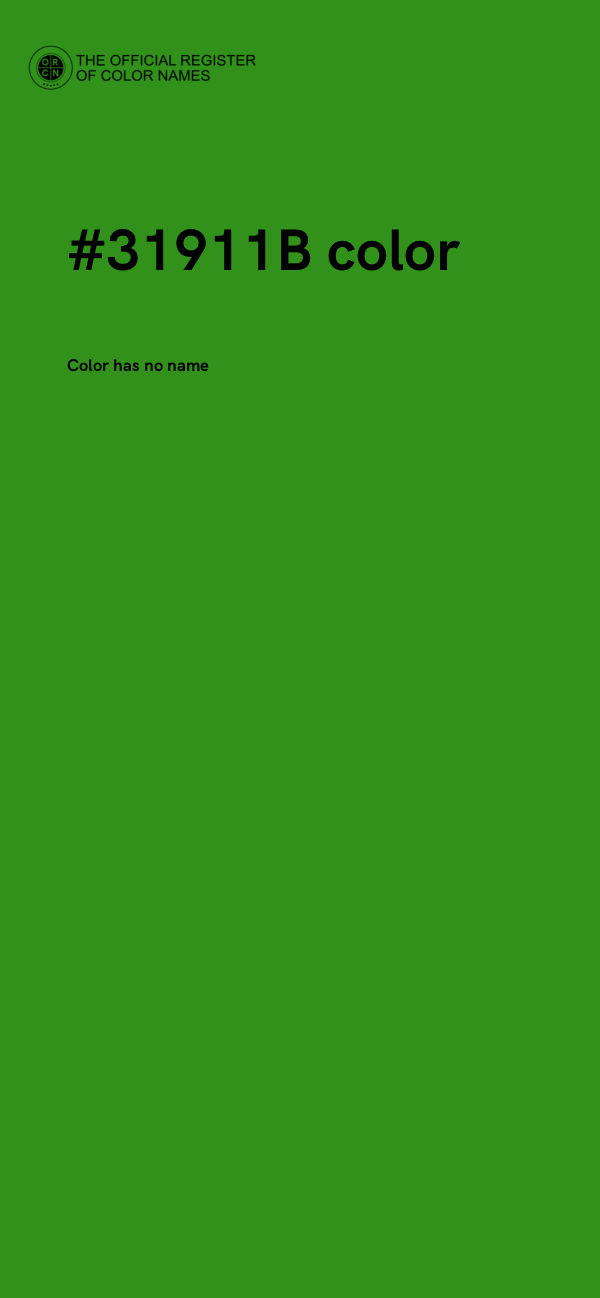 #31911B color image