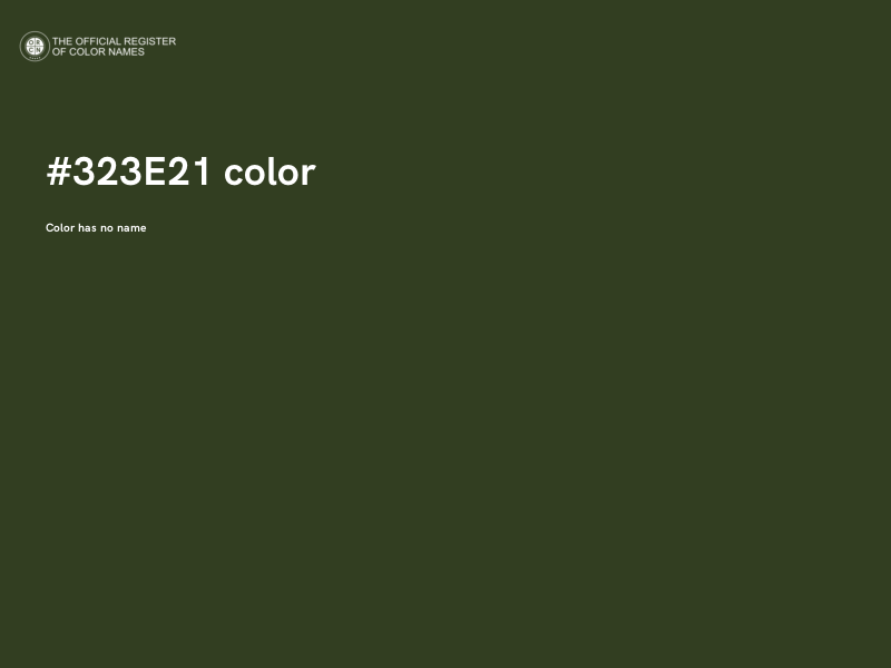#323E21 color image