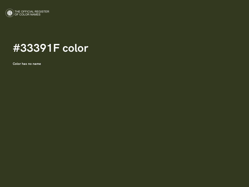 #33391F color image