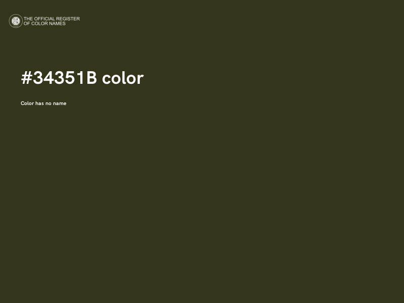 #34351B color image