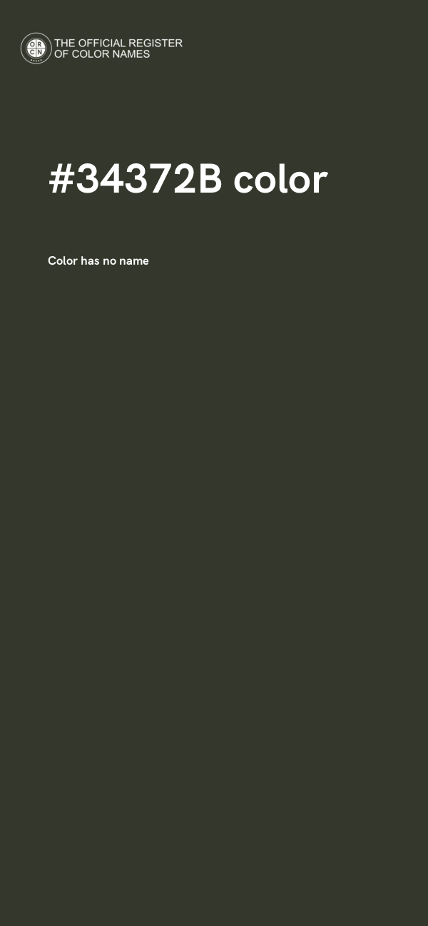 #34372B color image