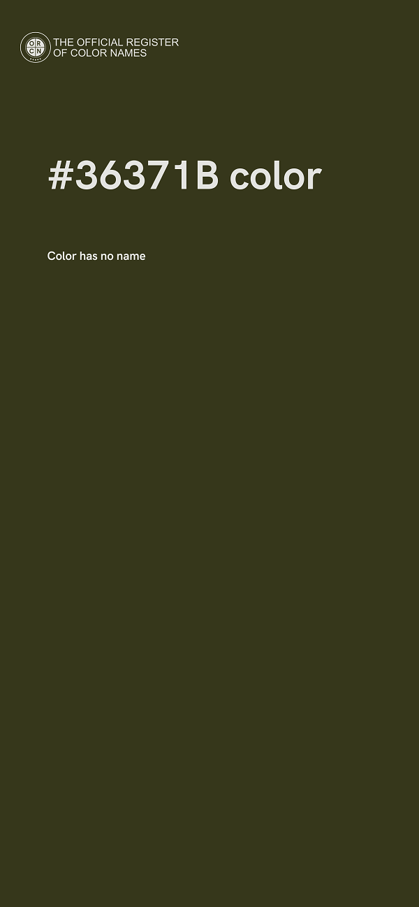 #36371B color image