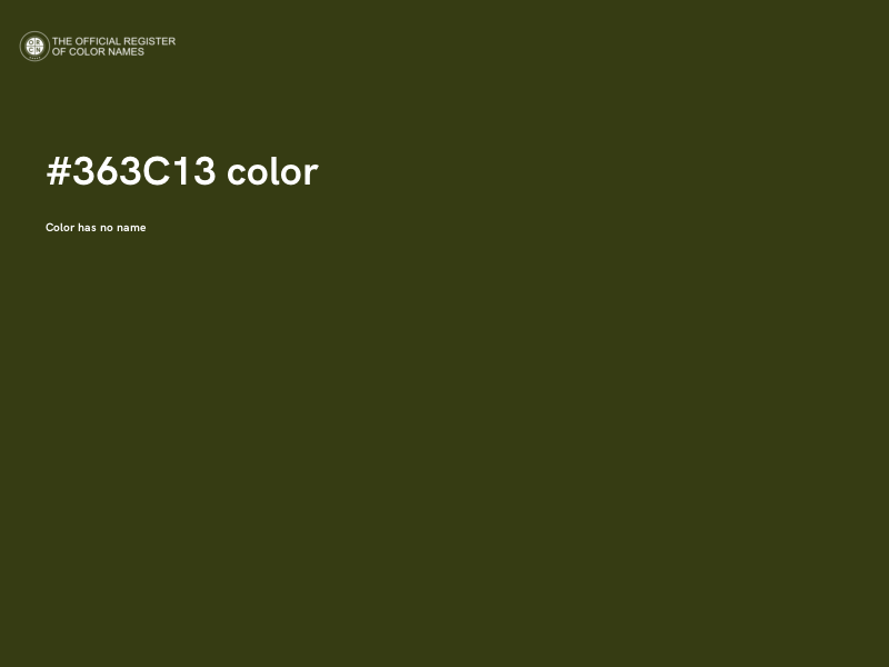 #363C13 color image