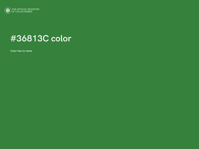 #36813C color image