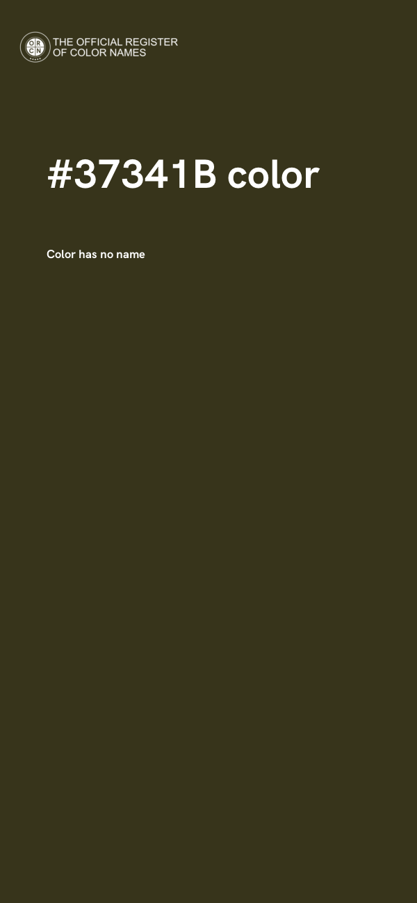 #37341B color image