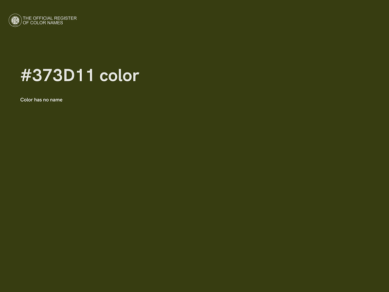 #373D11 color image