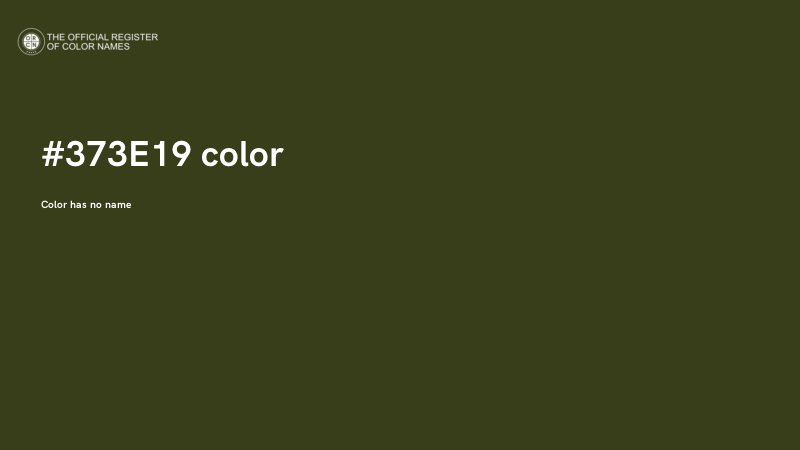 #373E19 color image
